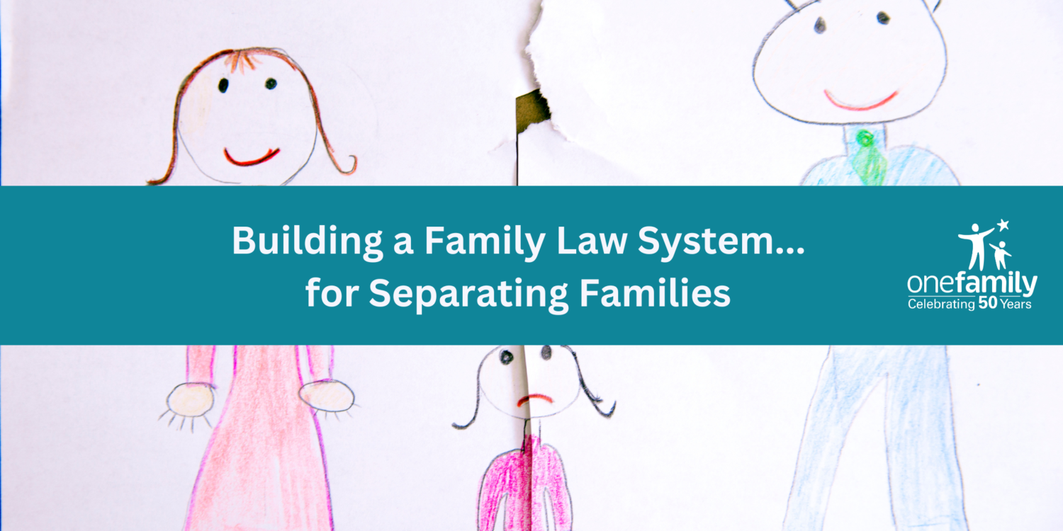 building-a-family-law-system-for-separating-families-video-and