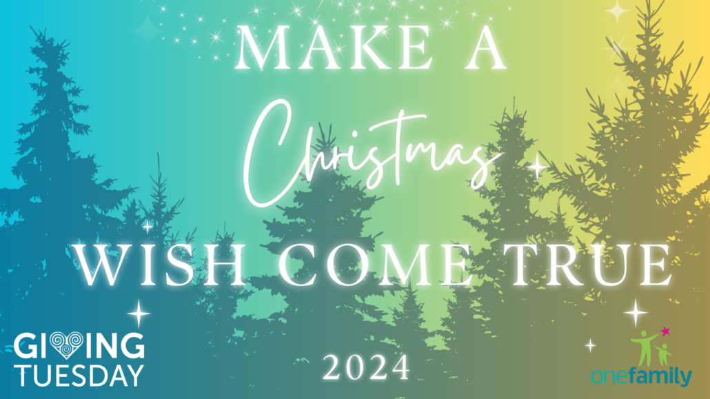 Make a wish come true with One Family Ireland